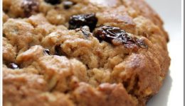 quaker1