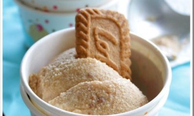 biscoff-ice-cream-1