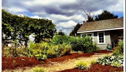 lowes-garden
