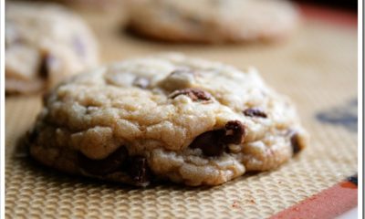 chocolate-chip-silpat-2