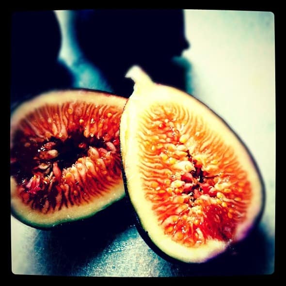 figs-instagram