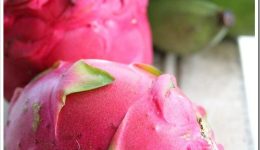 tropical-fruit-2