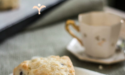 Orange Pomegranate Scones from Budget Gourmet Mom