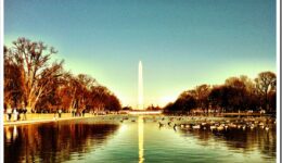 Top Reasons to Visit Washington DC