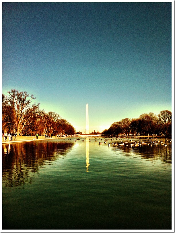 Top Reasons to Visit Washington DC