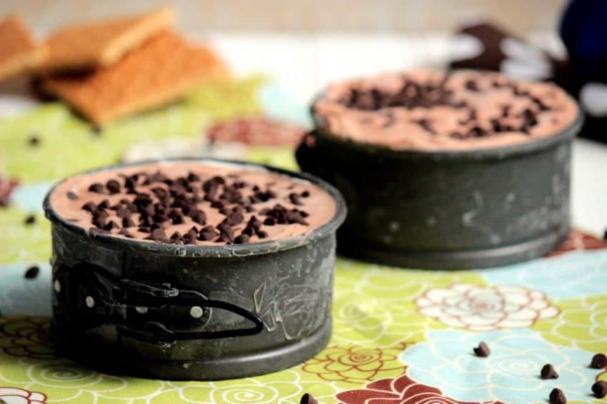 https://doughmesstic.com/wp-content/uploads/2013/07/Mini-Smores-Ice-Cream-Cakes1.jpg