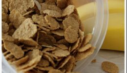 ViSalus-Cereal