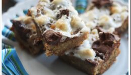 smores 3