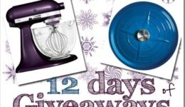 giveaway2013graphic