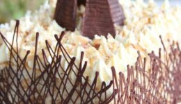 cookie-cake-out