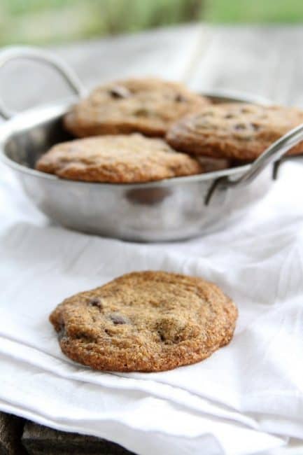 Low Carb Chocolate Chip Cookies – DoughMessTic.com