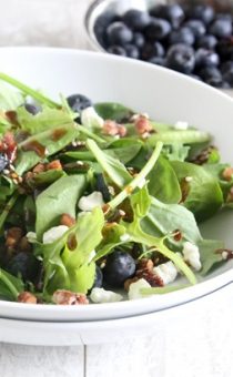 Mixed Greens & Blueberry Salad