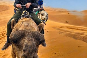 the-camel-trek