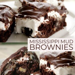 mississippi mud brownies