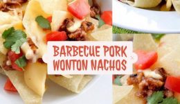 barbeque pork wonton nachos