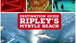 ripley's myrtle beach