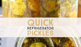 quick refrigerator pickles