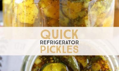 quick refrigerator pickles