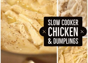 slow cooker chicken and dumplings