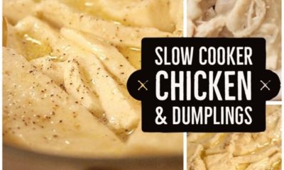 slow cooker chicken and dumplings