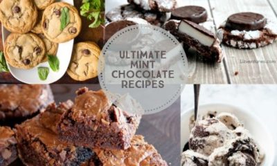 ultimate-mint-chocolate-recipes