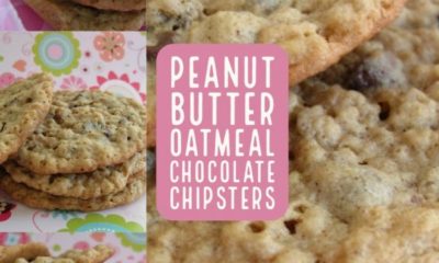peanut butter oatmeal chocolate chipsters
