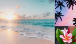 Say Aloha to Hawaii