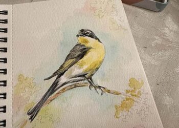Watercolors…For The Birds